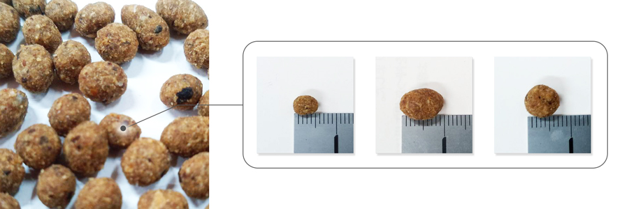 ごはん（ドライフード）の粒の大きさ